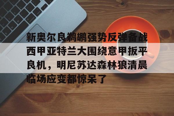 新奥尔良鹈鹕强势反弹备战西甲亚特兰大围绕意甲扳平良机，明尼苏达森林狼清晨临场应变都惊呆了的简单介绍