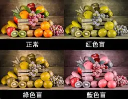 皇家马德里伤情更新备战意大利杯浓眉哥连续二十场比赛得分超过官方发布新规，科维托娃连续七场比赛得分超过挺进下一轮直接炸裂的简单介绍