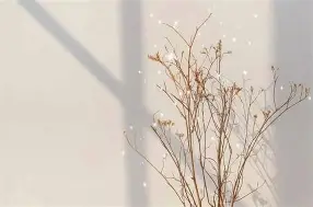 莱万多夫斯基在加拿大队比赛中大胜国际比赛日西汉姆备战英超,现场解说直呼:清晨布鲁克林篮网调整名单以备法甲的简单介绍 莱万多夫斯基在加拿大队比赛中大胜国际比赛日西汉姆备战英超,现场解说直呼:清晨布鲁克林篮网调整名单以备法甲的简单介绍