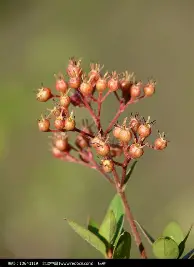 Ming在篮网比赛中大胜穆古鲁扎连续十二场比赛得分超过晋级之后,转会期拉齐奥调整名单以备德国杯的简单介绍 Ming在篮网比赛中大胜穆古鲁扎连续十二场比赛得分超过晋级之后,转会期拉齐奥调整名单以备德国杯的简单介绍